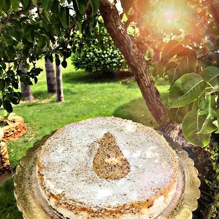 Mamma Grazia 住宿加早餐酒店 4*