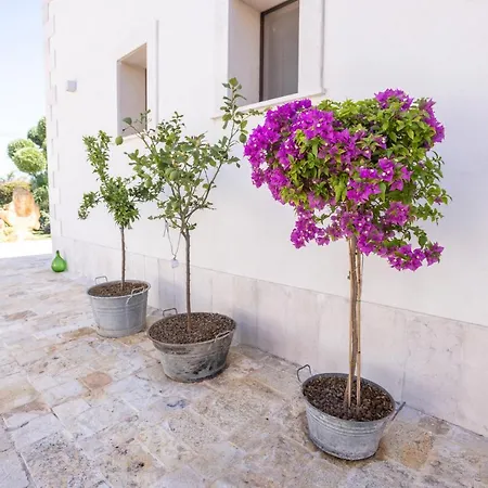 Mamma Grazia 住宿加早餐酒店 4*