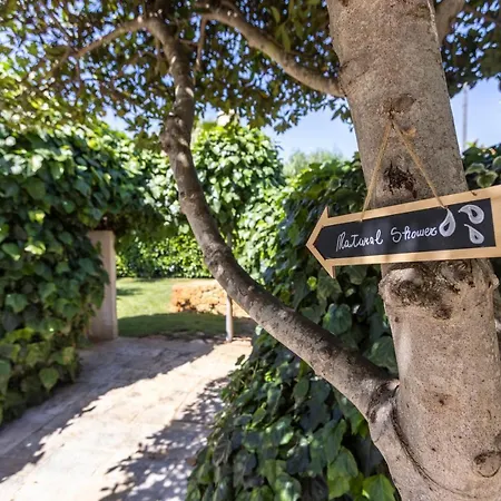 住宿加早餐酒店 Mamma Grazia