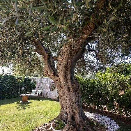 Mamma Grazia 3*