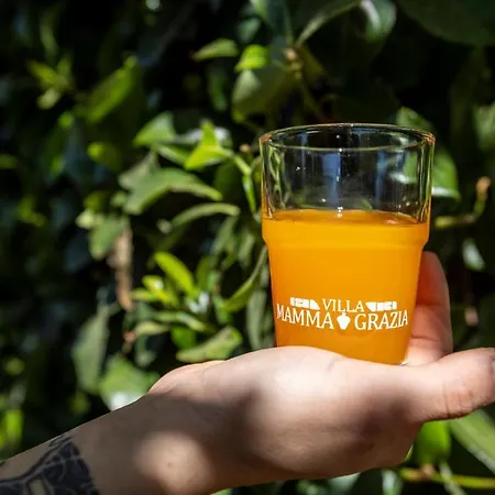 Mamma Grazia 住宿加早餐酒店