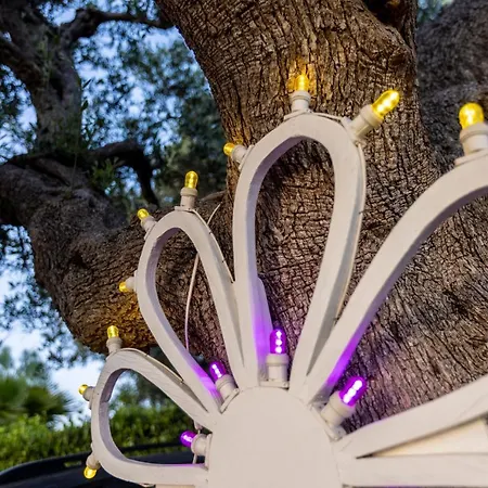 住宿加早餐酒店 Mamma Grazia 4*