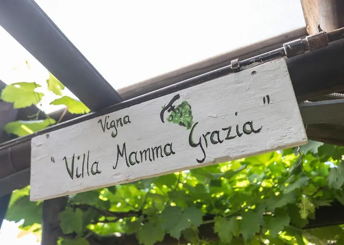 住宿加早餐酒店 Mamma Grazia