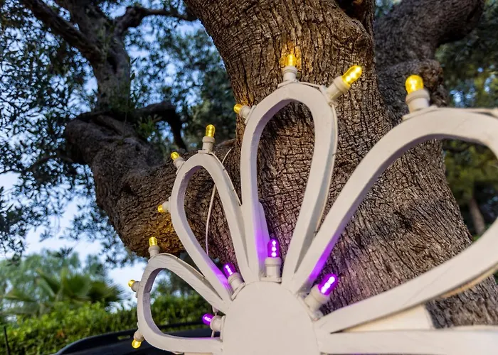 住宿加早餐酒店 Mamma Grazia 4*