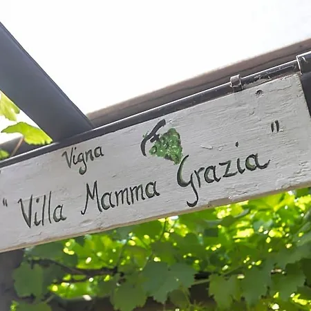 Nocleg ze śniadaniem Mamma Grazia